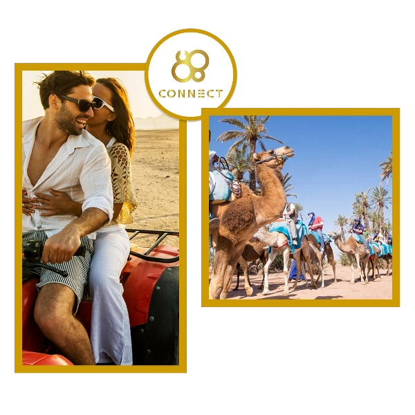 Quad and Camel Ride Palmeraie